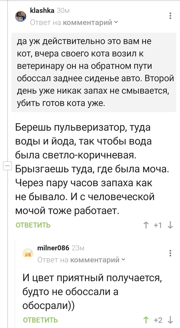 Как почистить машину ?) - Кот, Сиденье, Чистка, Комментарии на Пикабу, Скриншот