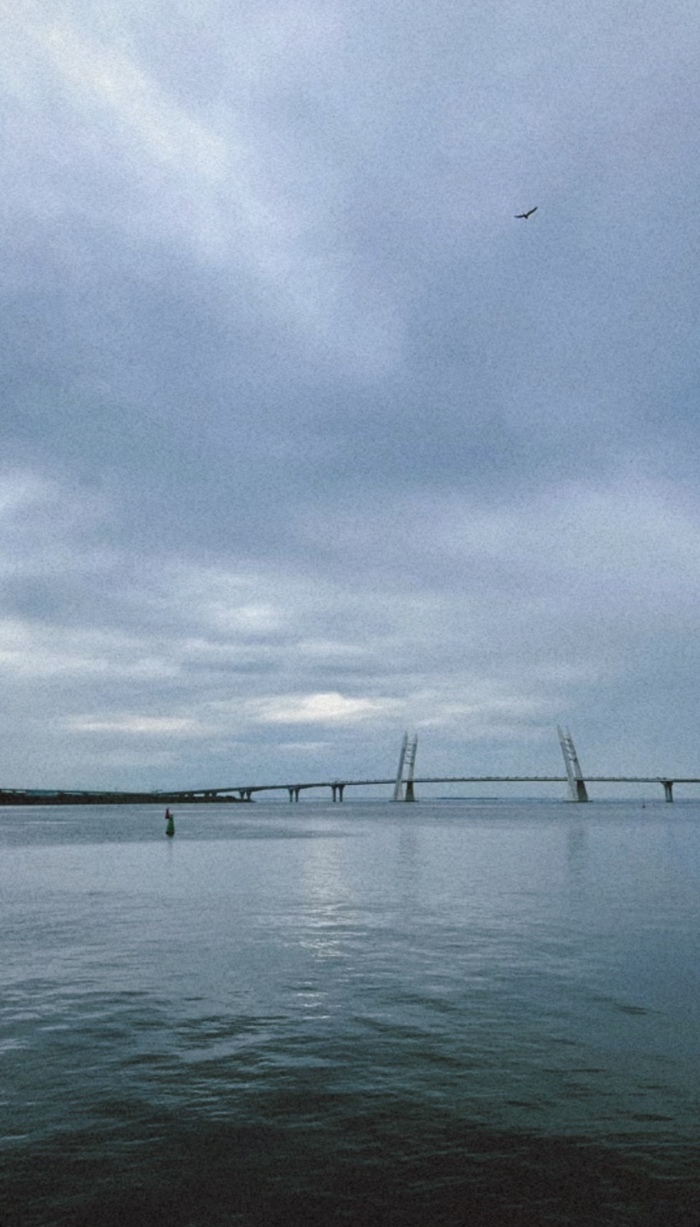 Без заголовка