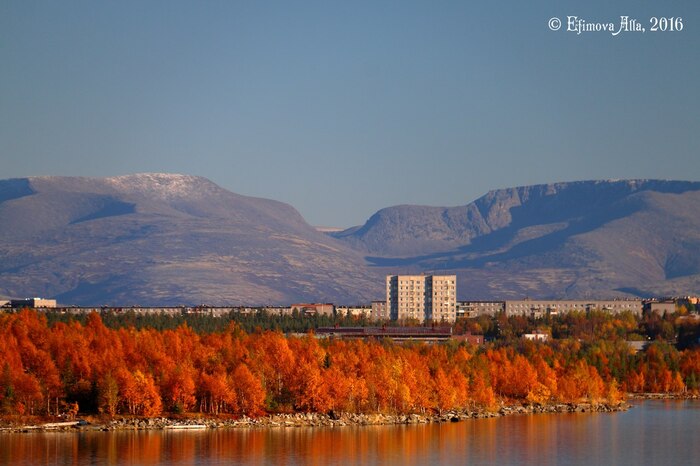 ����� ����������: <a href="https://pikabu.ru/story/vyizhit_ili_zhit_za_polyarnyim_krugom_11607919?u=https%3A%2F%2Fvk.com%2Fangelfotograf&t=%D0%90%D0%BB%D0%BB%D0%B0%20%D0%95%D1%84%D0%B8%D0%BC%D0%BE%D0%B2%D0%B0&h=ab403d4658047c4835ced83b4866311697b8d524" title="https://vk.com/angelfotograf" target="_blank" rel="nofollow noopener">���� �������</a>