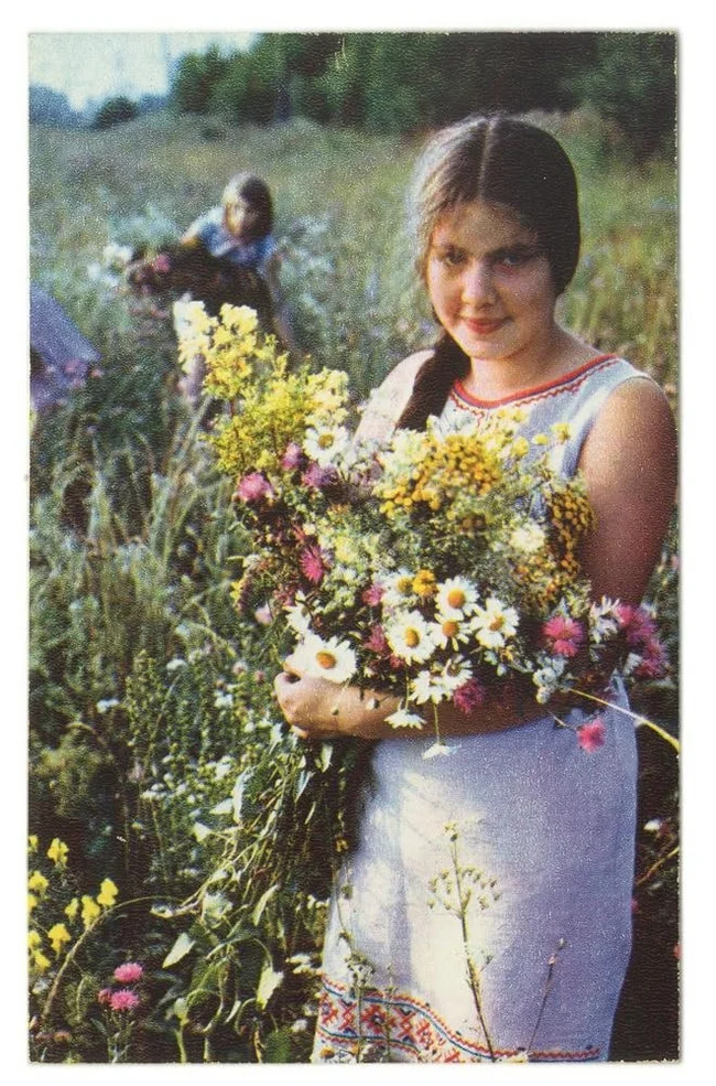 Set of postcards “Flowers of Russia” - Katyusha - Photo Gippenreiter V., 1972 - the USSR, Made in USSR, Childhood in the USSR, Retro, Telegram (link), Katyusha, 70th, Vintage, Postcard