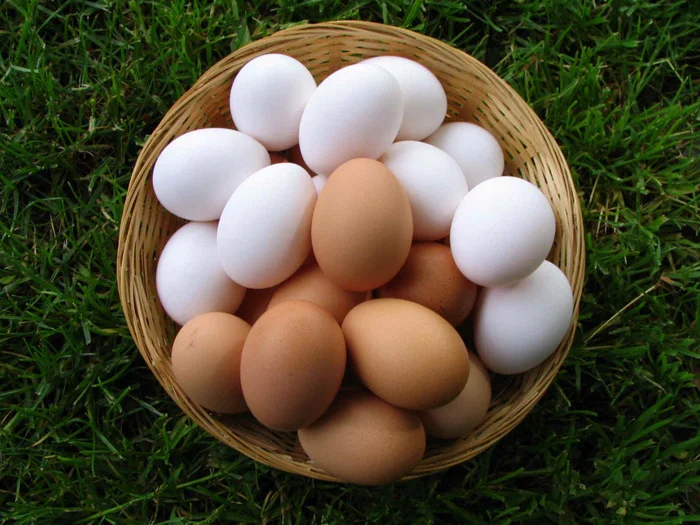 What are the benefits of chicken eggs? - My, Healthy lifestyle, Nutrition, Eggs