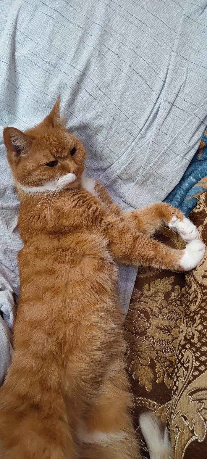 Попыталась сложить сердечко... почти получилось