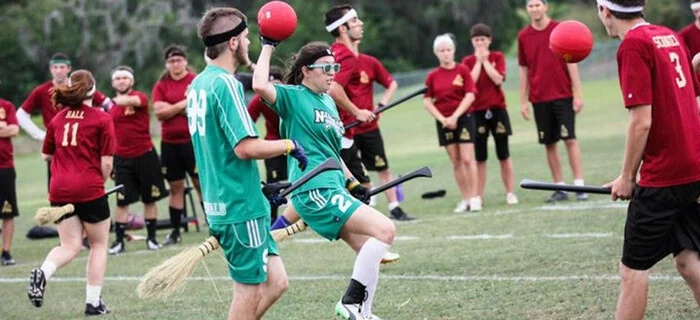 Answer by user7178199 in “About Hobbyhorsing” - Hobbyhorsing, Sport, Reply to post, Harry Potter, Quidditch
