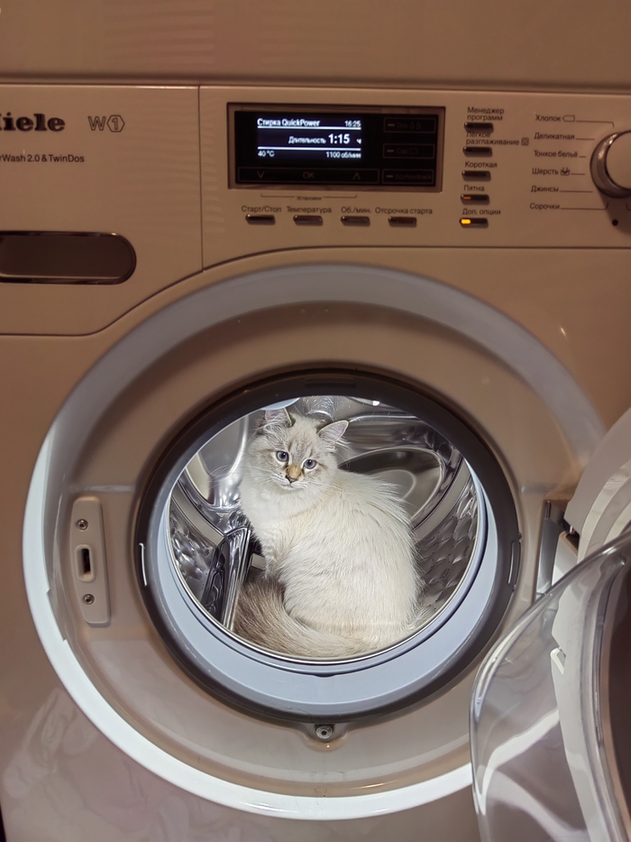      , , , ,  