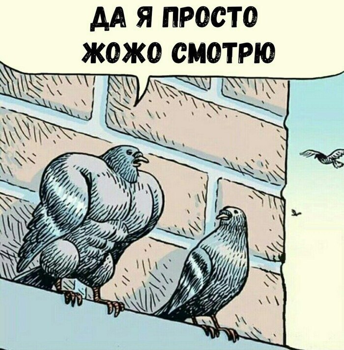   94 , ,  , ,   , , 