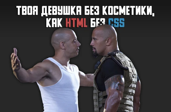 Toretto puts Hobbs down - My, IT, Programmer, CSS, IT humor, Programming, Torreto, Picture with text