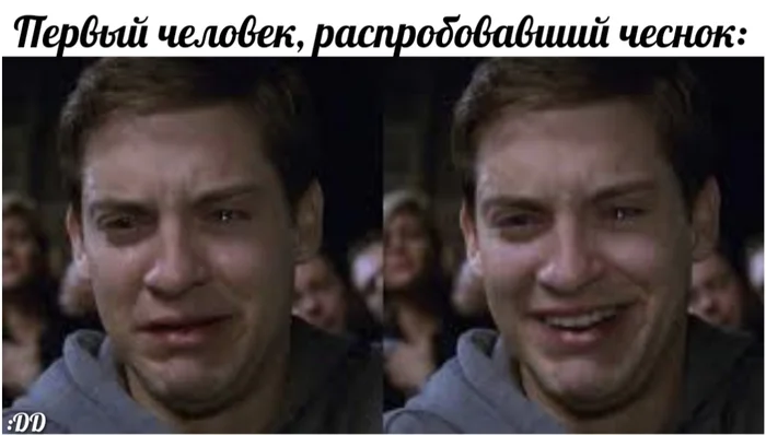 :DD - My, Humor, Picture with text, Memes, Tobey Maguire