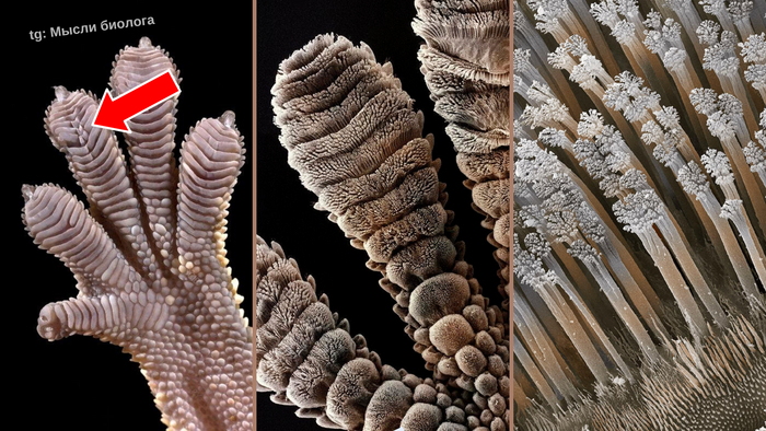    . : x0 - x50 - x100 .      .