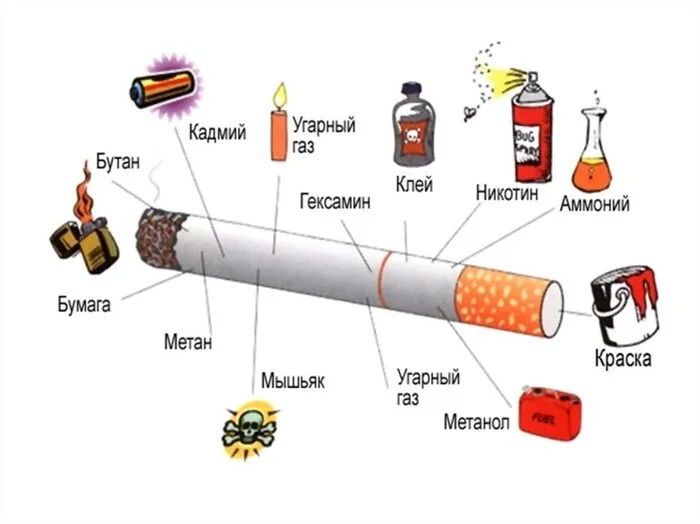 Причины появления токсичных веществ в организме - Здоровье, ЗОЖ, Организм