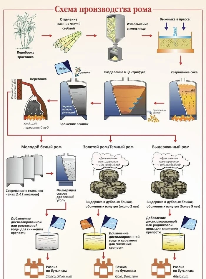 РОМ. ЧТО ЭТО И КАК ЕГО ПРОИЗВОДЯТ - Моё, Алкоголь, Ром, Дистилляция, Длиннопост, Ректификационная колонна, Ректификат, Продажа алкоголя, Алкоголики, Алкогольный коктейль, Гедонист, Бар