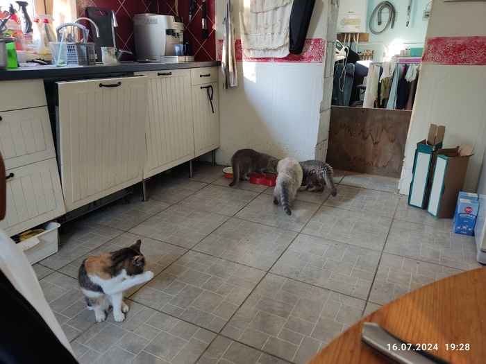 �����, �����, ��������� �����.