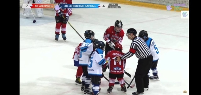 Игра с командой Снежные барсы