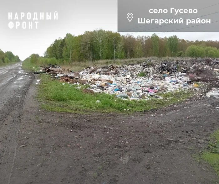 The garbage dump in Shegarka will soon block the road - Officials, Tomsk, Siberia, Housing and communal services, Dump, Garbage, Trash can, Garbage reform, Tomsk region, Village, Ecology, Village, Onf, Eco-city, North