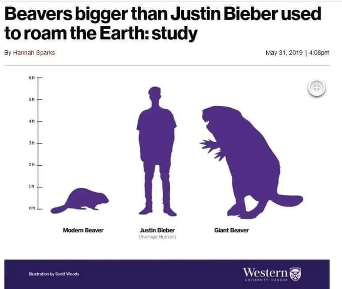 Ridiculous science infographics - The science, Illustrations, Infographics, Nauchpop, Longpost