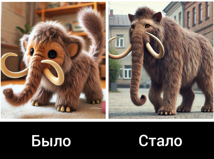 Котамонт подрос