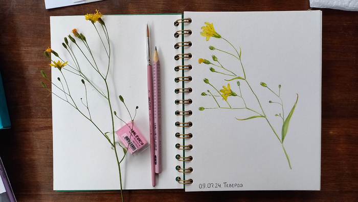 Акварель, хлопковая бумага