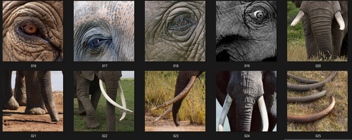 � ������� �� �����������, �� ������� ����� ����������� ��������, ���������� �������� ��������� ����, �����������, ��� ������ �� ���������� �������� ������ ��������� ��������. �����, ��� ���������, ��� �������� ����� ���������� ��� ����������� �������.