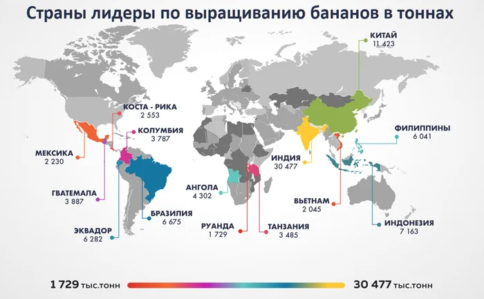 Banana countries - Country, Tourism, Economy, Around the world, Asia, Banana, Сельское хозяйство, Humor