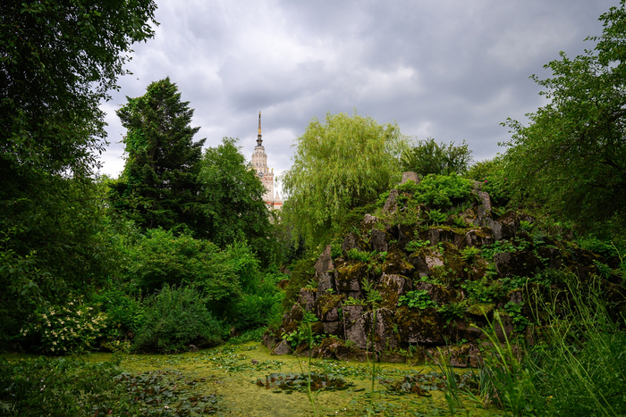 Альпинарий (искусственная гора на территории сада + небольшой пруд)