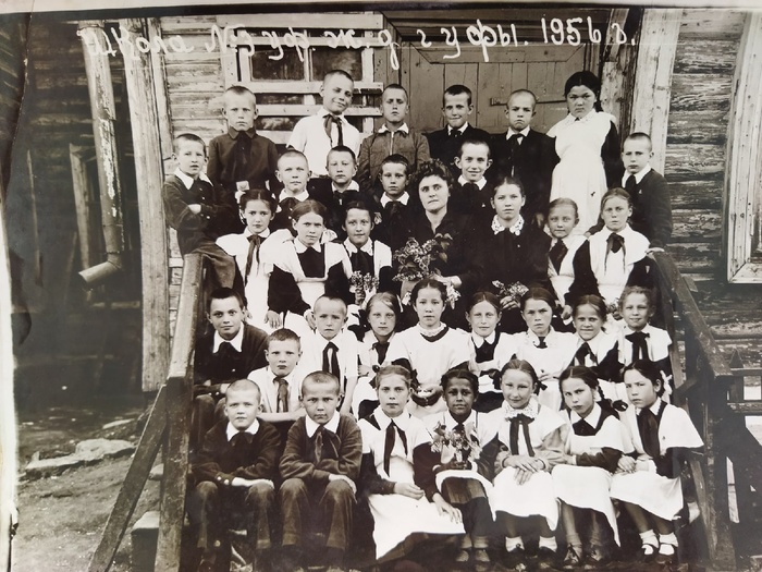 ,  1951,    .        95