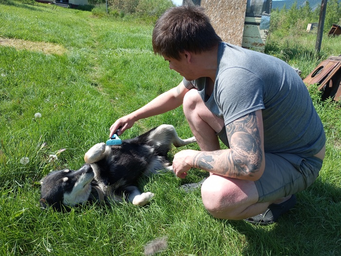 Жизнь на ТДС в тайге. Дневник изоляции 02.07-03.07