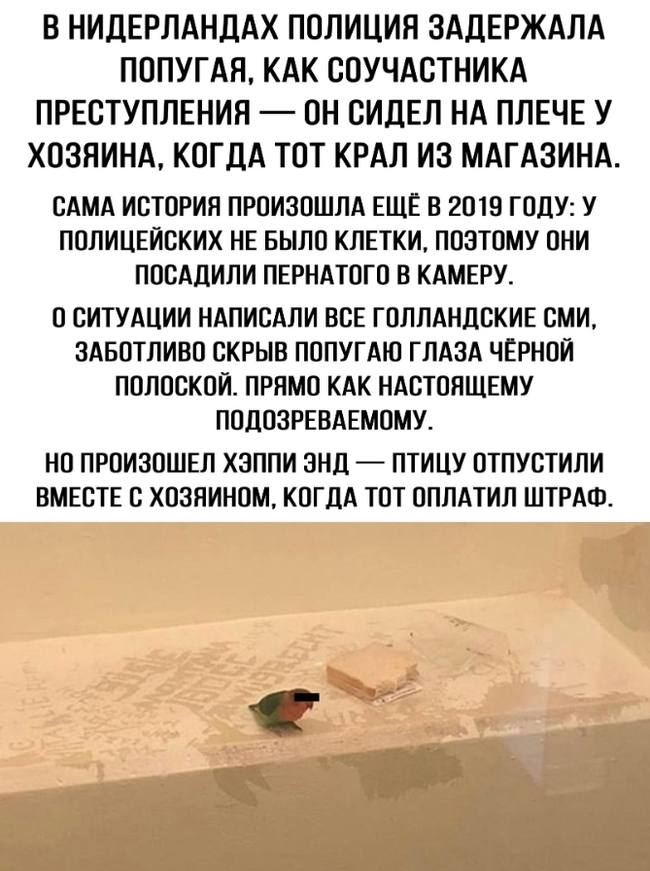 ����� ���...