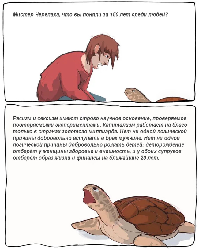 According to the facts - Philosophy, Mister, Turtle, Everything is true, Picture with text