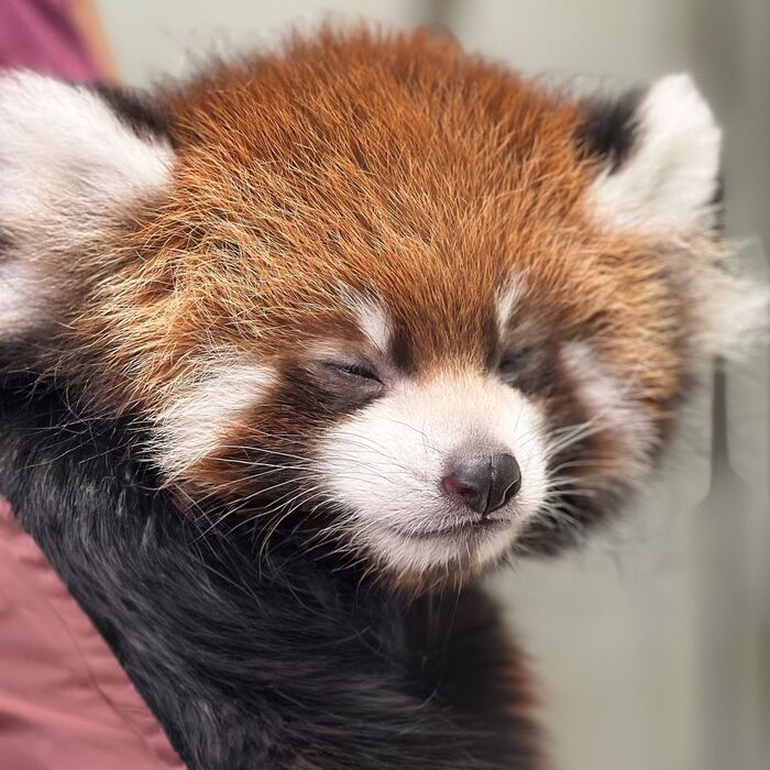 Ещё минуточку