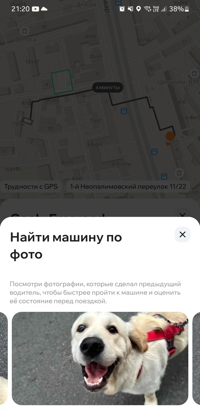 When I was looking for car sharing and found a good boy - Car sharing, Moscow, Dog, Good boy