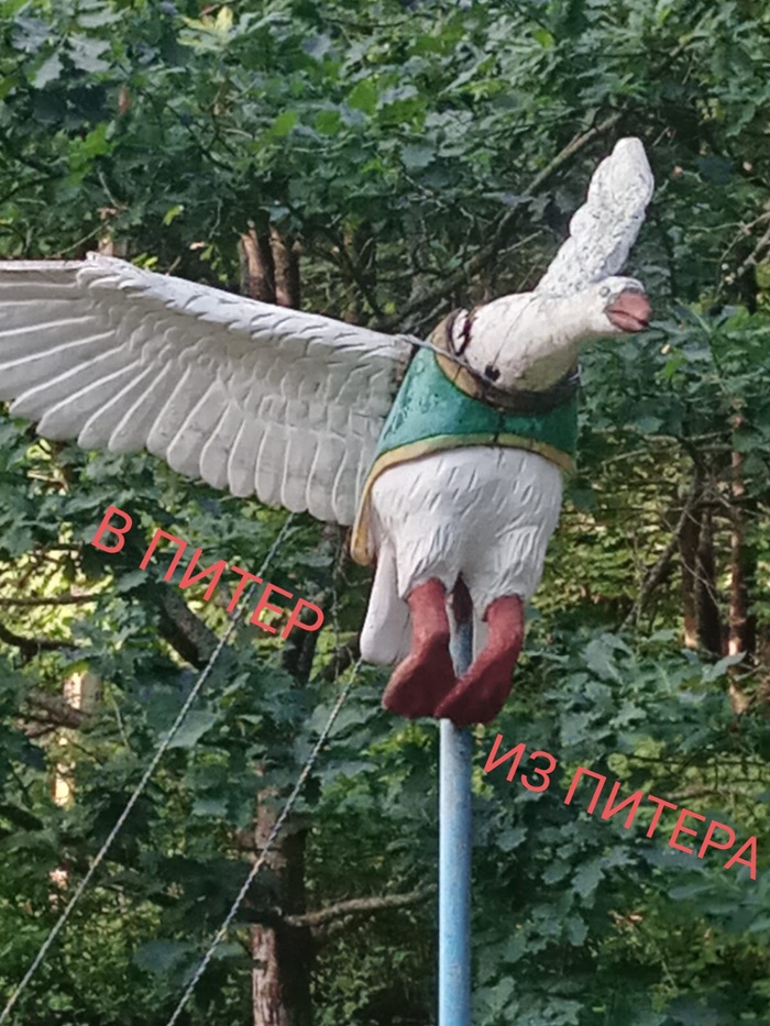       ( . .) , , , 