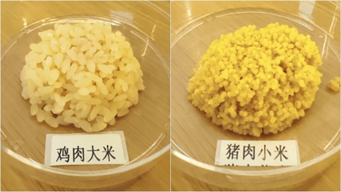 ����� ����� ����� � "�������" �����, ������ ����� ����� �� "������" �����