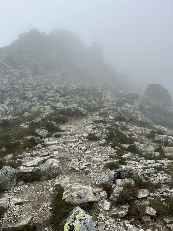 �������, ���� ����������, ��� �����.