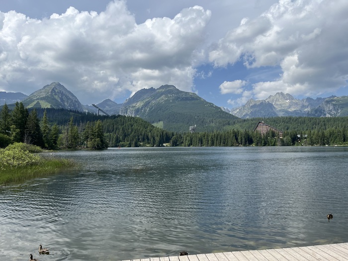 ������� �����, ��� �����.