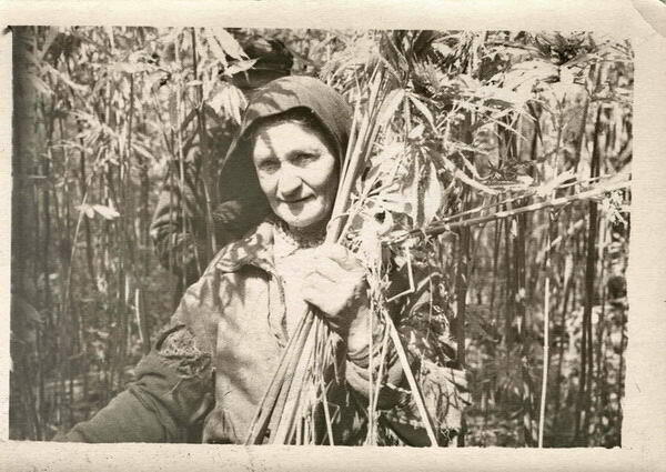 1960-е гг. д. Аладьино, Брянская обл