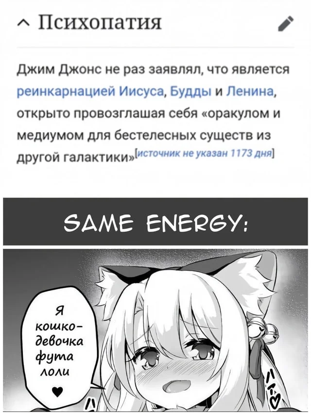 Perfection - Anime, Anime memes, Manga, Picture with text, Fate-kaleid liner Prisma Illya, Illyasviel Von Einzbern, Animal ears, Neko, Futanari, Loli