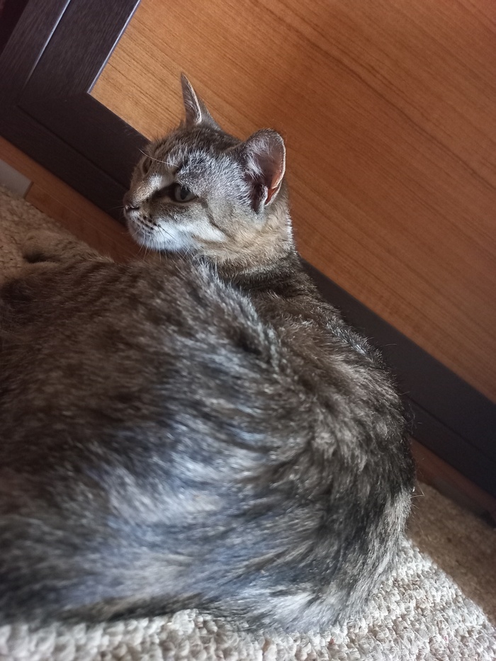 Порой становится интересно, о чём она думает?