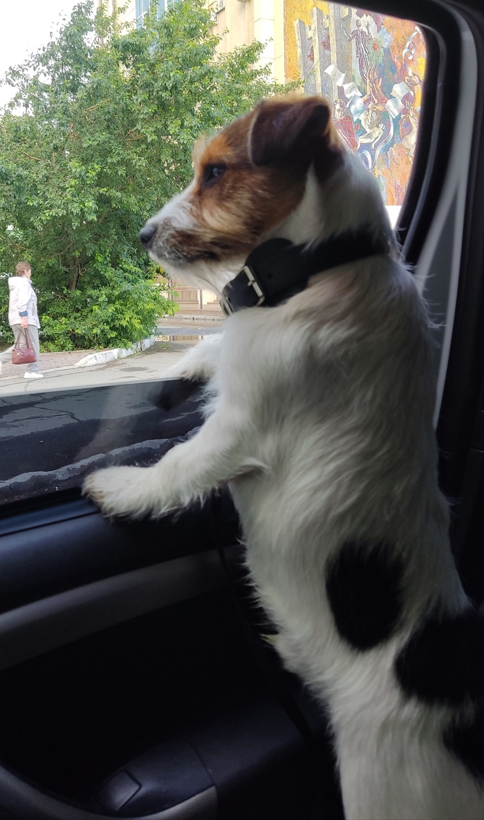 Джек потрошитель