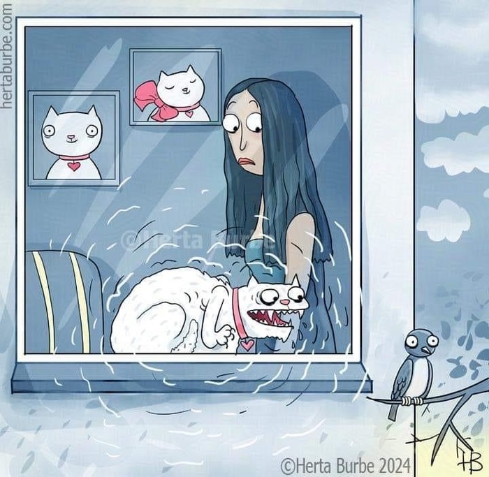 Заинтересовался