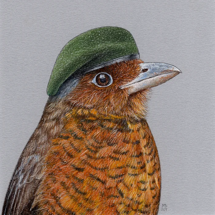 Giant Grallaria - My, Art, Drawing, Birds, Animalistics, Traditional art, Pastel, Birds in hats, Beret