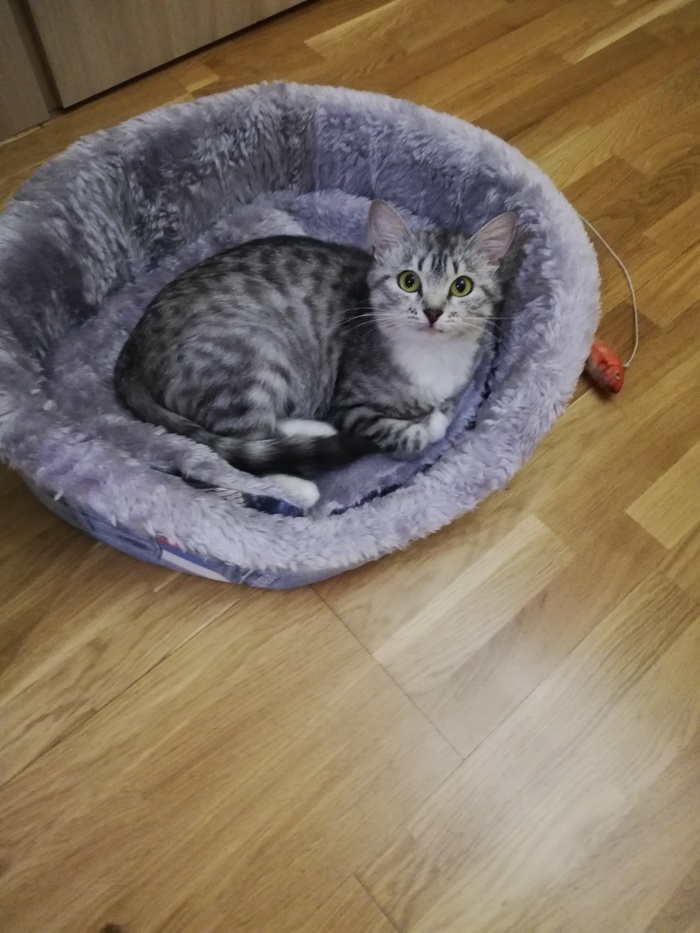       ,  , , ,  , ,  , , , 