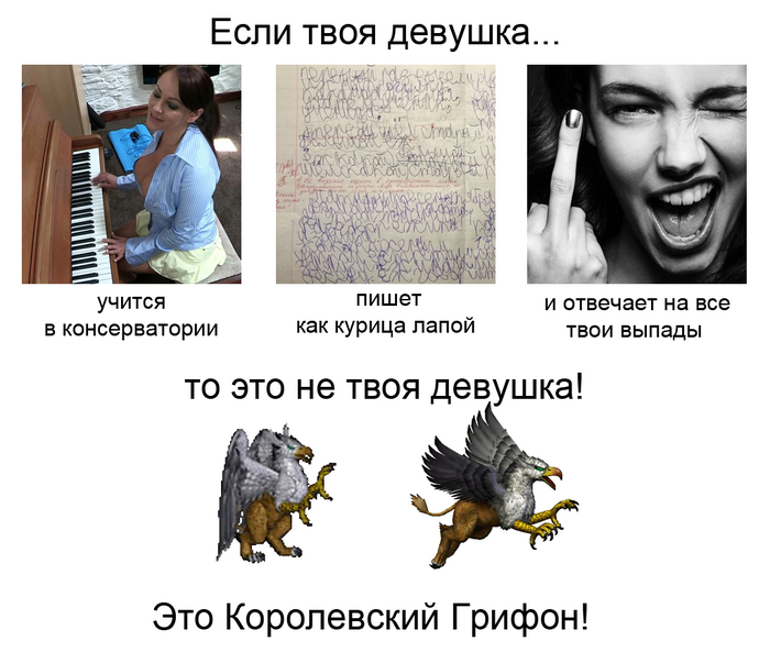   ,    , HOMM III,  , ,   , Telegram ()