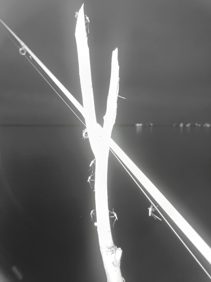 Ночь на Лене Река Лена, Рыбалка, Ночь, Комары, Фотография