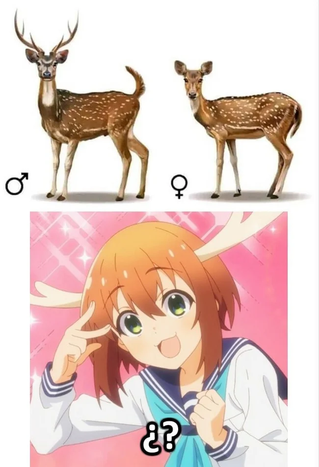 Shikanoko nokonoko koshitantan - Anime, Anime memes, Shikanoko Nokonoko Koshitantan, Girl with Horns, Deer