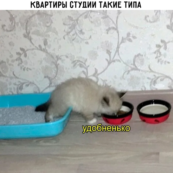 Не пошлое - Картинка с текстом, Юмор, Длиннопост, Мемы
