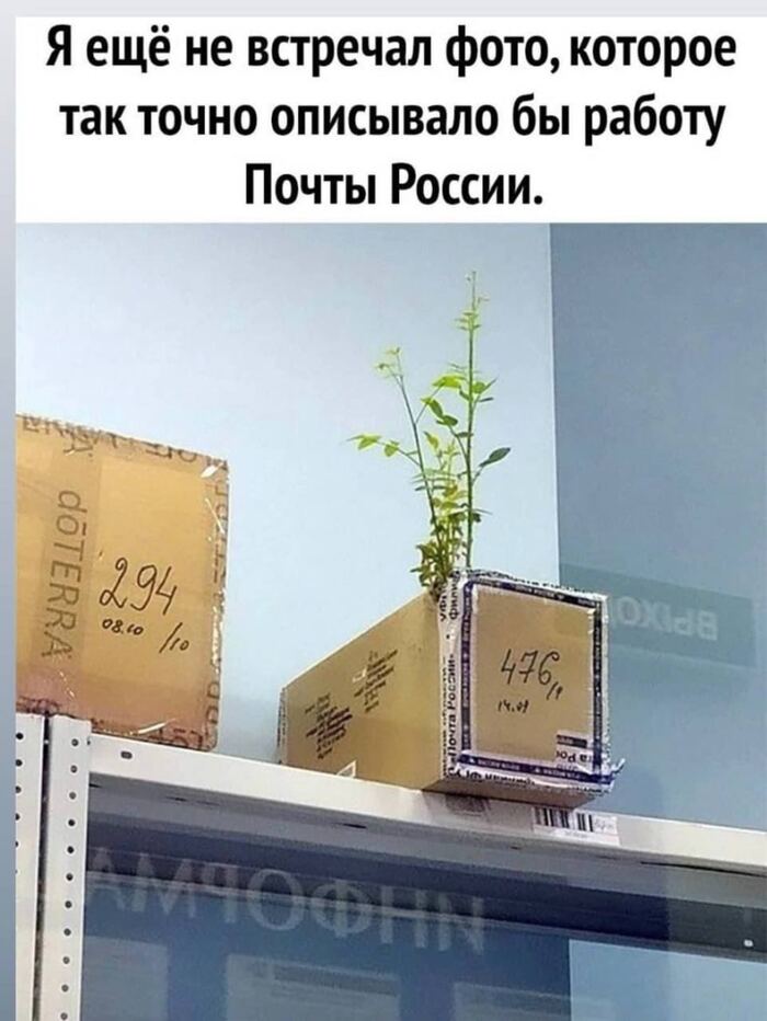      .    , , ,  , ,   , ,   