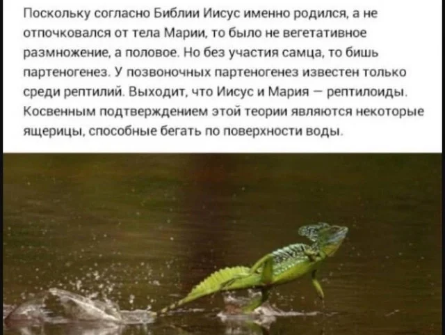 The secret is revealed - Humor, Reproduction, VKontakte (link), Picture with text, Jesus Christ, Lizard, Hardened, Religion, Reptilians