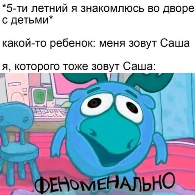 Саша - Юмор, Картинка с текстом, Мемы, Имена, Детство, Смешарики, Telegram (ссылка)