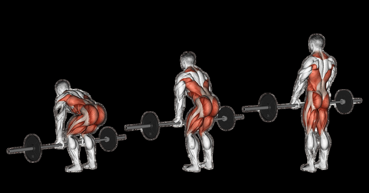 ����������� ����������� �������: ����.