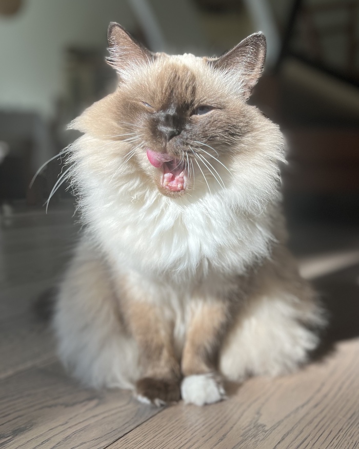   , , ,  , 