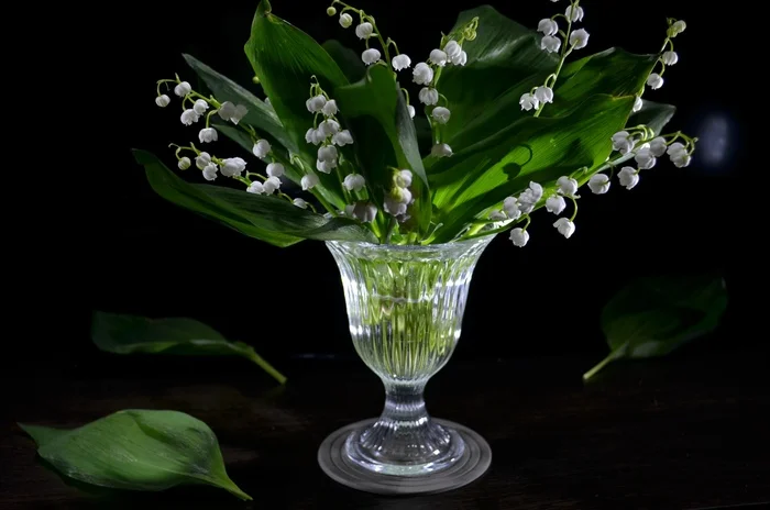 Bouquet... - My, Flowers, Night shooting, Lilies of the valley, Bouquet, The photo